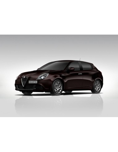 Colore Acrilico Nero Etna - Alfa Romeo - per Modellismo 30ML