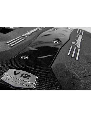 Schrumpflack Spray Schwarz Lamborghini...