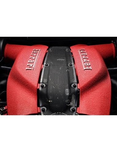 Peinture Rouge Ferrari à Haute Température pour...