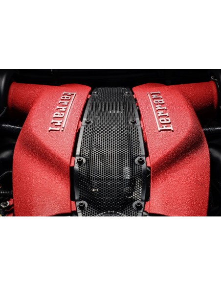 Peinture Rouge Ferrari à Haute Température pour Moteur - 250g