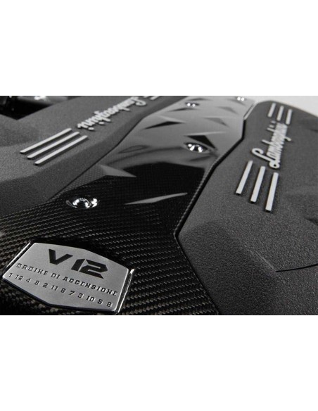 Pintura Vermiculada Negra para Motor de Alta Temperatura de Lamborghini - 250g