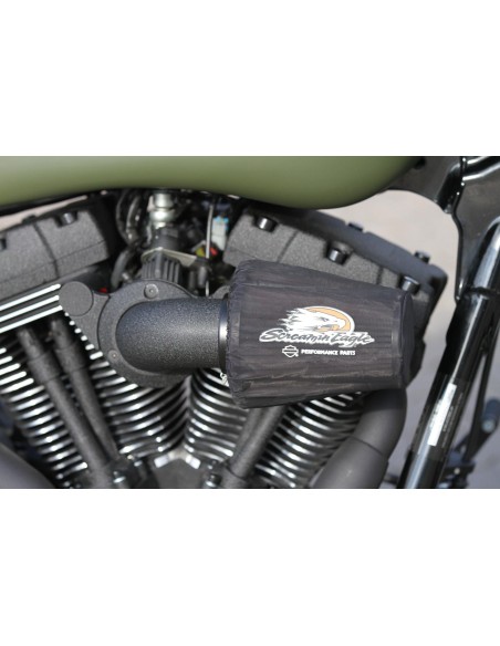 Peinture Vermiculée Noir Profond Harley Davidson Haute Température Moteur - 250g