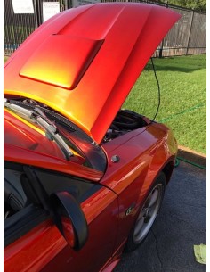 Farbe Candy Base Matt zu Lösungsmittel Orange Rot 2