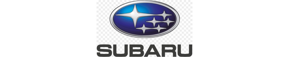 Acrylic airbrush scale model Subaru colors