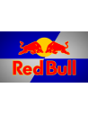 RED BULL COLORS